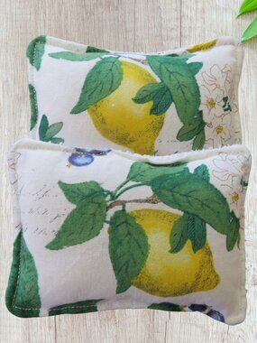 Reusable Sponge Lemon Dish Scrubby Set Of 2